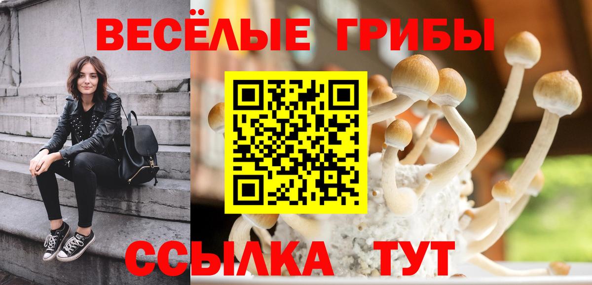 Псилоцибиновые грибы Cubensis  Вход с VPN  Великий Устюг 