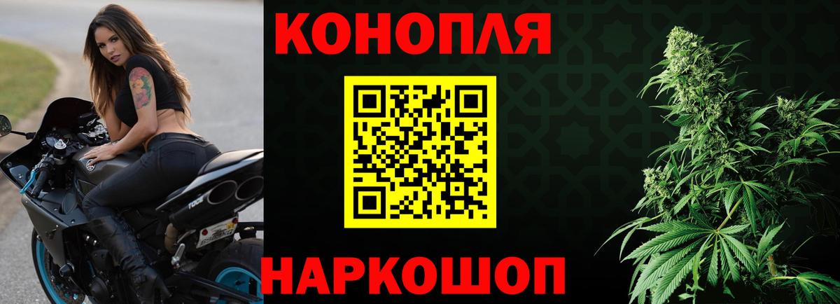 Шишки марихуана план Великий Устюг